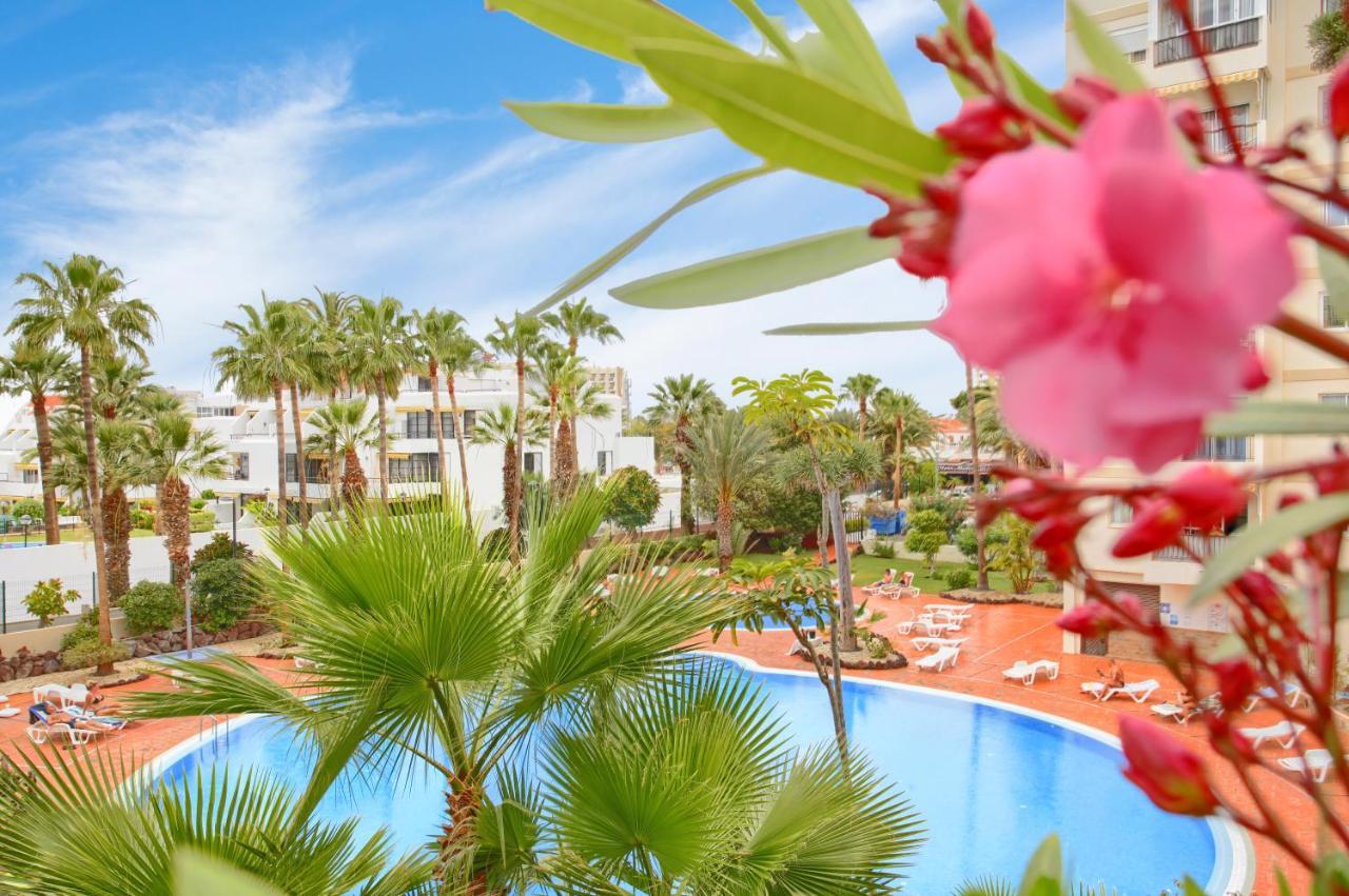 Studio Eldorado In Playa De Las Americas Near The Beach Arona  Eksteriør bilde